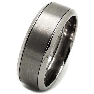Two Tone Titanium Spinner Ring