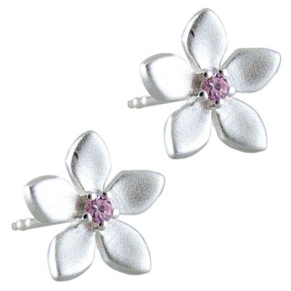 Dasia Silver Crystal Earrings