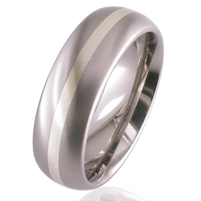  White  Gold  Titanium  Wedding  Ring  Titanium  Rings  Suay 